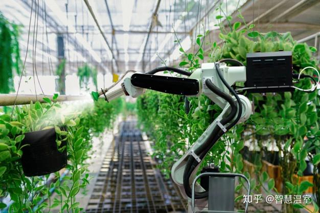 智能温室物联网技术是植物工厂运营必不可少的驱动力